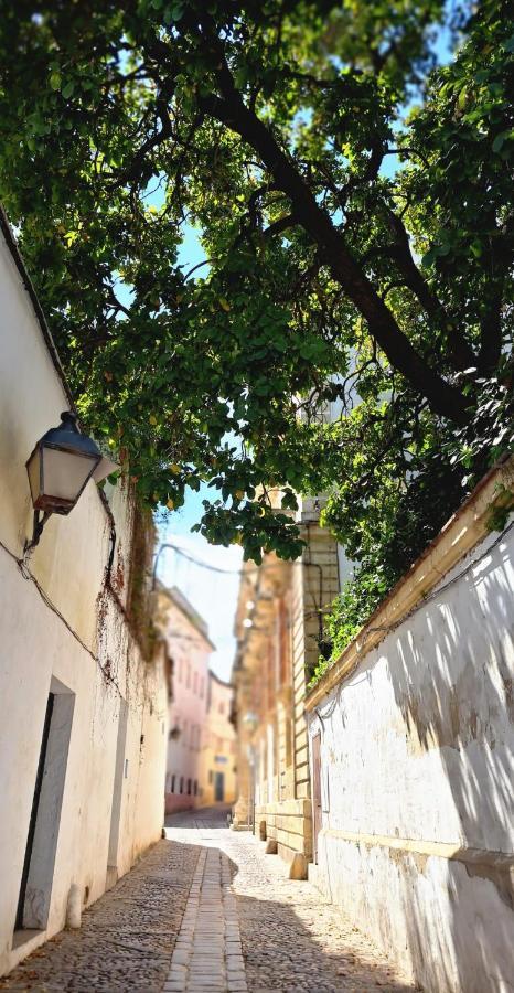 El Rinconcito De Noa Apartment Jerez de la Frontera Exterior photo